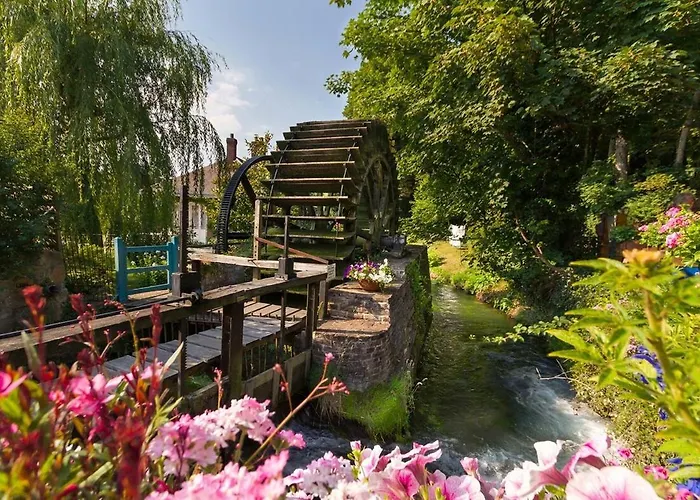 Au Coeur De La Nature *